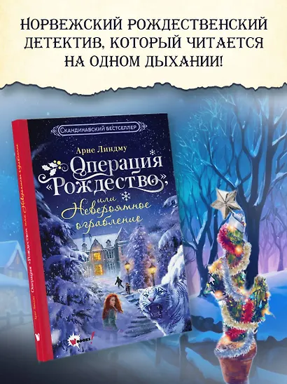 Операция Рождество, или Невероятное ограбление - фото 4