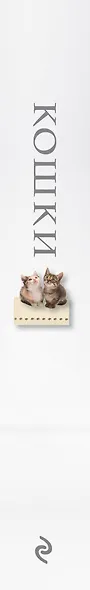 Кошки. Книжка-сюрприз для всех, кто влюблен в кошек (Лицензия) - фото 5