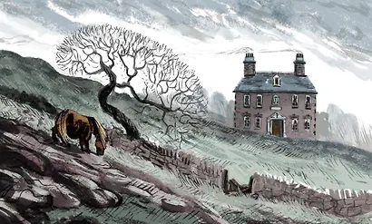 Хранитель острова Паффин - фото 4