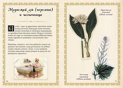 Маленький гримуар ведьмы. Зелья и волшебные травы - фото 13
