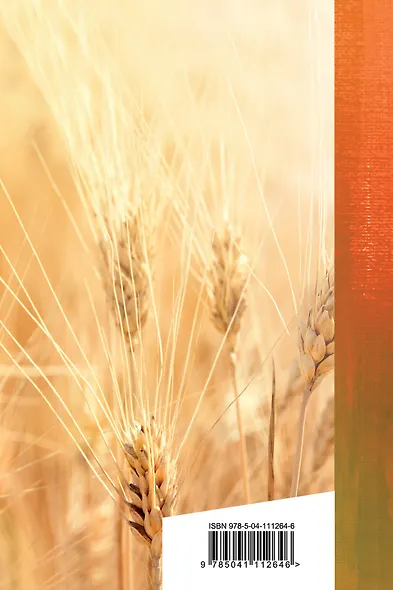 Не жалею, не зову, не плачу - фото 2