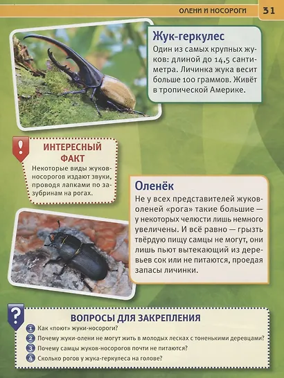 Пауки, жуки и улитки. Энциклопедия с развивающими заданиями - фото 4