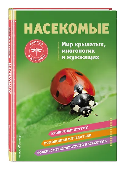 Насекомые. Мир крылатых, многоногих и жужжащих - фото 3