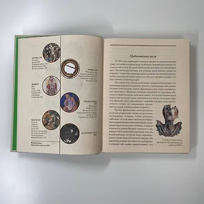 Голое Средневековье. Жизнь, смерть и искусство в Средние века - фото 11