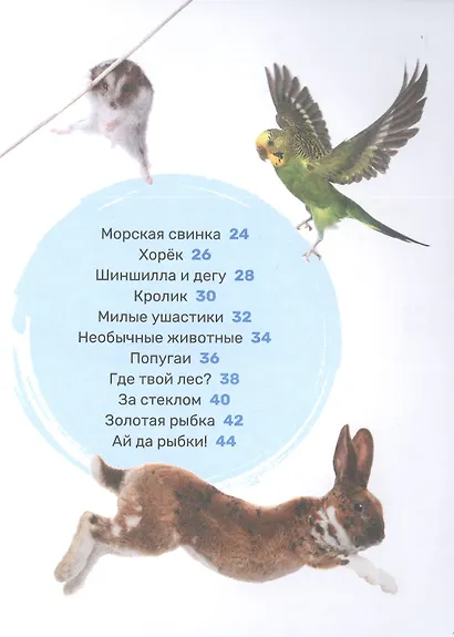 Домашние питомцы - фото 3