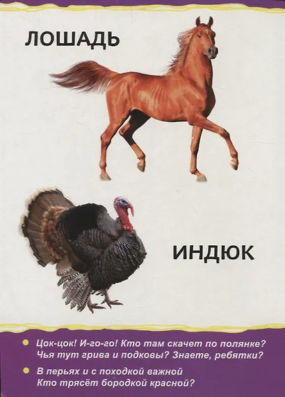 Домашние животные для малышей - фото 3