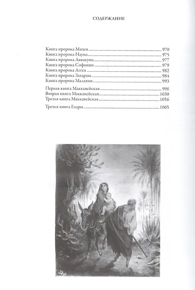 Библия. Книга Священного Писания Ветхого и Нового Завета - фото 3