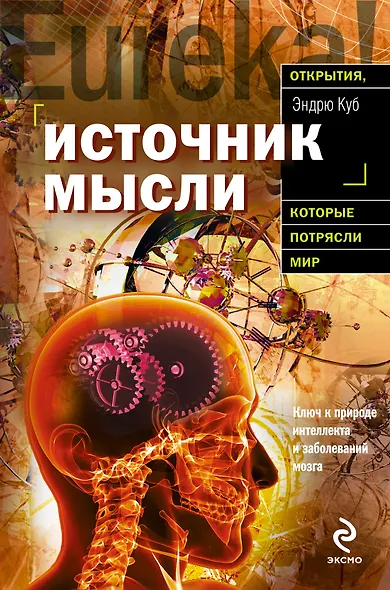 Источник мысли - фото 1
