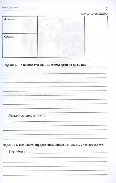 Анатомия человека. Спланхнология. Часть 5. Дыхательная система. Мочевыделительная система. Половая система. Тетрадь-практикум - фото 3