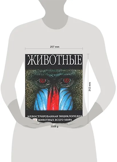 Животные: Иллюстрированная энциклопедия животных всего мира - фото 2