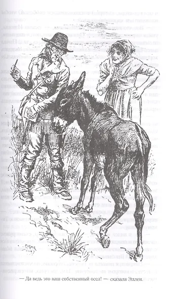 Прерия - фото 4