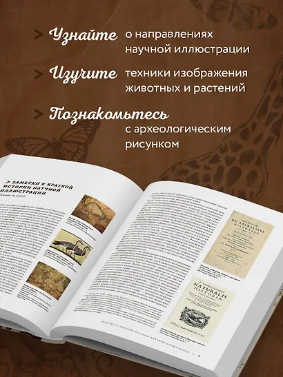 Профессия — Научный иллюстратор. Руководство по иллюстрации в биологии, археологии и палеоарте - фото 7