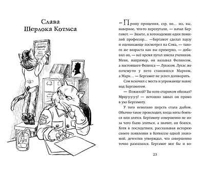 Четыре расследования кота Бергамота - фото 9