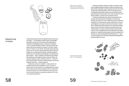 Гид по ферментации от Noma - фото 5