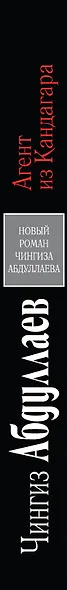 Агент из Кандагара : роман - фото 3