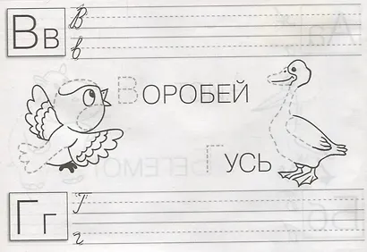 Обведи, допиши, раскрась - фото 2