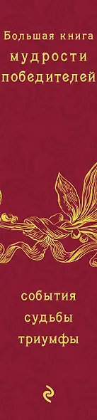 Большая книга мудрости победителей - фото 5