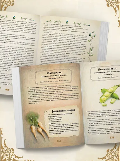 Травология Средневековья. Чудодейственные растения, древние рецепты и непостижимые тайны трав - фото 8