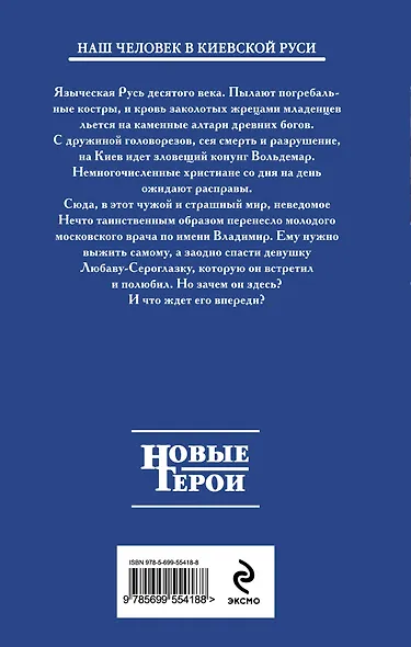 Подменный князь - фото 2