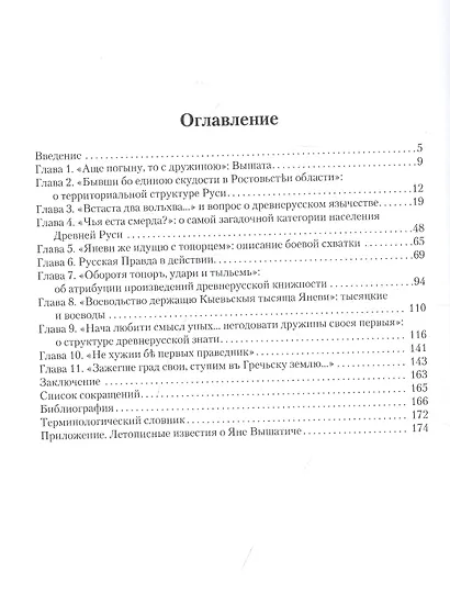 Янь Вышатич проводник по истории Руси XI века - фото 2