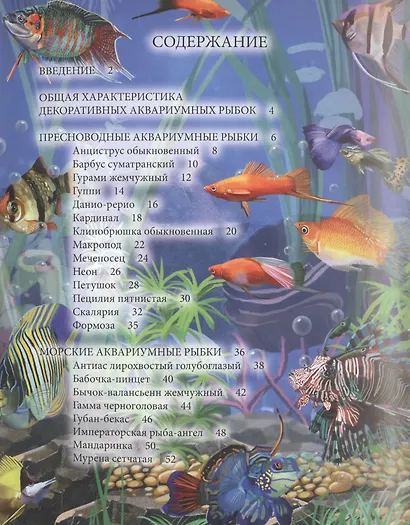 Аквариумные рыбки - фото 2