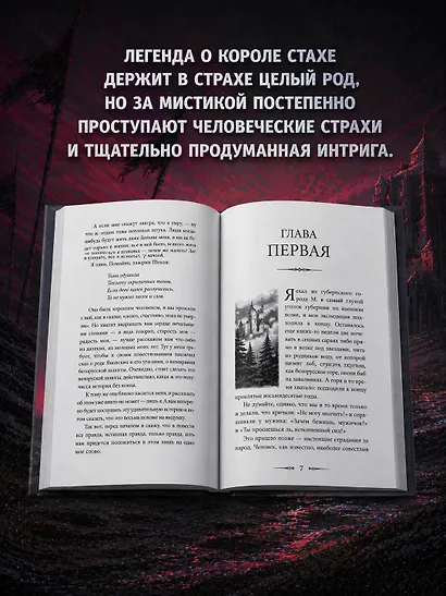 Дикая охота короля Стаха - фото 5