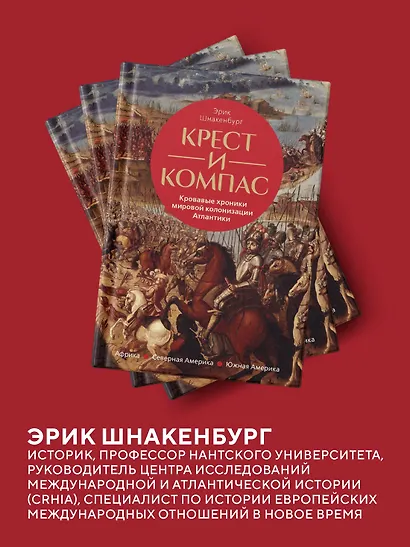 Крест и компас: Кровавые хроники мировой колонизации Атлантики - фото 6