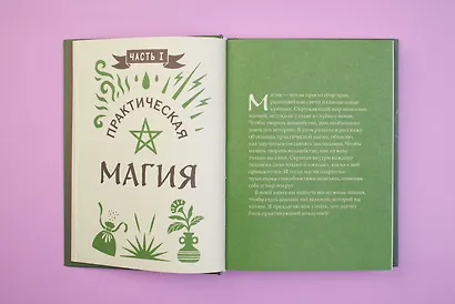 Книга заклинаний для новых ведьм. 130 простых заклинаний и ритуалов, чтобы изменить свою жизнь - фото 8