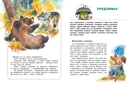 Большая лесная энциклопедия. Знакомимся с природой России - фото 6
