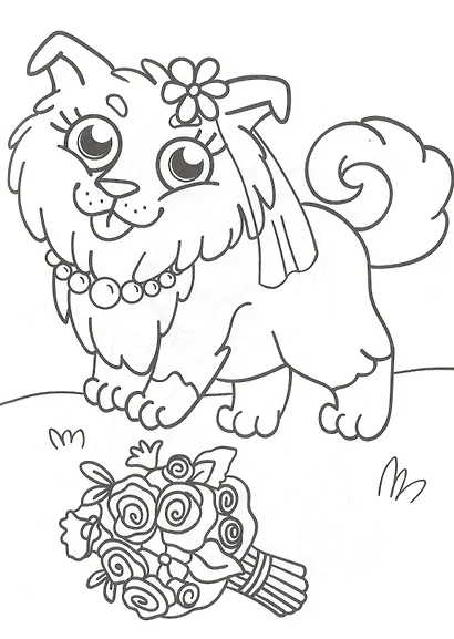 РАСКРАСКА А5 эконом. ЩЕНОЧКИ - фото 5