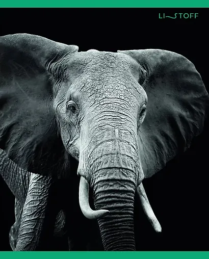 Тетрадь в клетку Listoff, "В мире дикой природы", 96 листов - фото 4