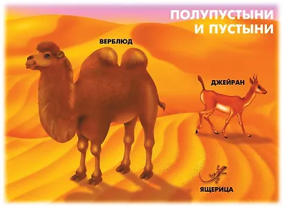 Природно-климатические зоны Земли. Демонстрационный материал для занятий в группах детских садов и индивидуально - фото 3