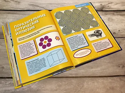 Большая энциклопедия. Тело человека - фото 10