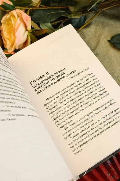 Покорение дракона - фото 14