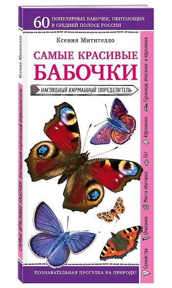 Бабочки. Наглядный карманный определитель - фото 3