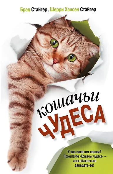 Кошачьи чудеса - фото 1