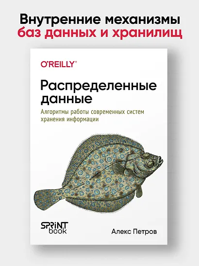 Распределенные данные. Алгоритмы работы современных систем хранения информации - фото 3