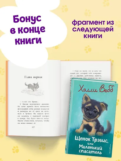 Котенок Билли, или Хрупкие лапки (выпуск 53) - фото 10