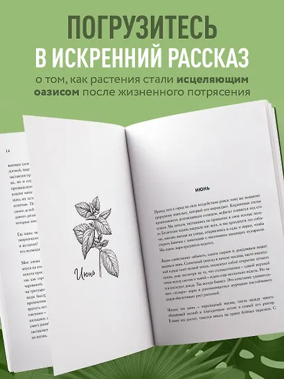 В саду моей души. Как любовь к растениям способна изменить жизнь и исцелить душу - фото 5