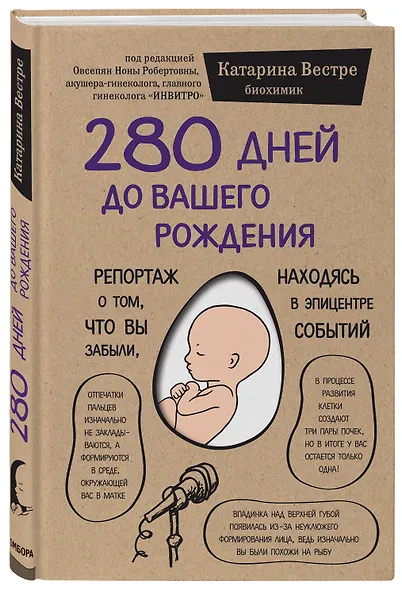 280 дней до вашего рождения. Репортаж о том, что вы забыли, находясь в эпицентре событий - фото 3