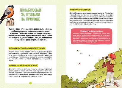 Птицы - фото 7