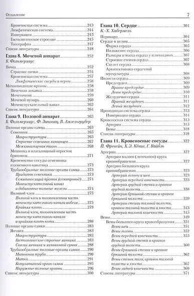 Анатомия собаки и кошки - фото 4
