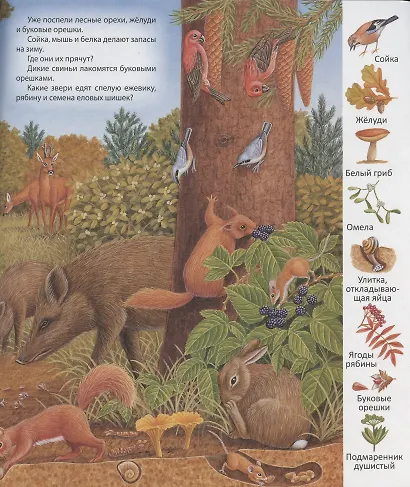 В лесу - фото 5