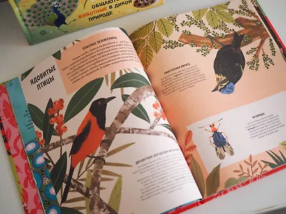 Ядовитые животные. Кто, зачем и как использует яды в дикой природе - фото 9