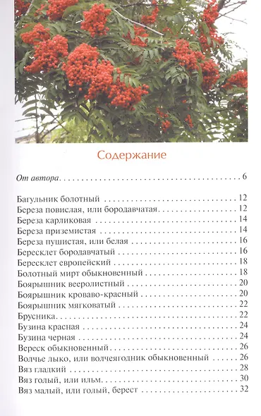 Деревья и кустарники лесов Центральной России. Атлас-определитель - фото 2