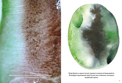 Цвет. Материалы, техники, сочетания - фото 5