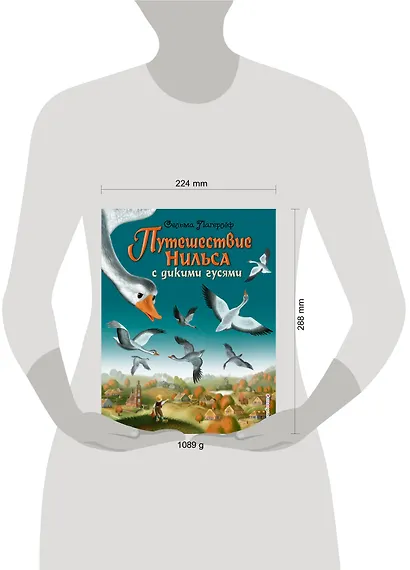 Путешествие Нильса с дикими гусями - фото 5