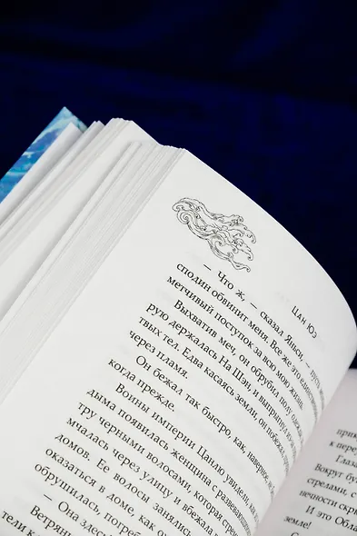 Зеркальные города-близнецы. Книга 2 - фото 14