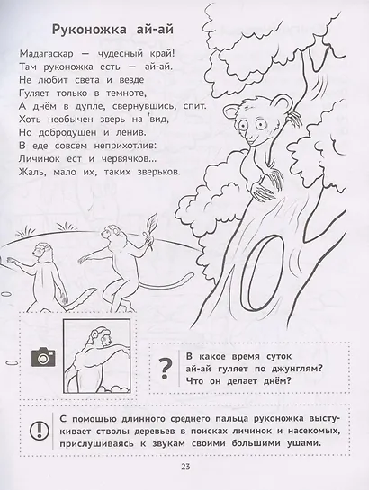 Пойдем в зоопарк: виммельбух-прогулка с мышонком Ерошкой - фото 6