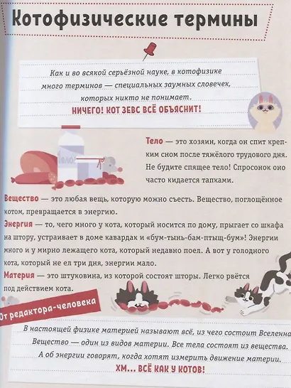 Котофизика - фото 6